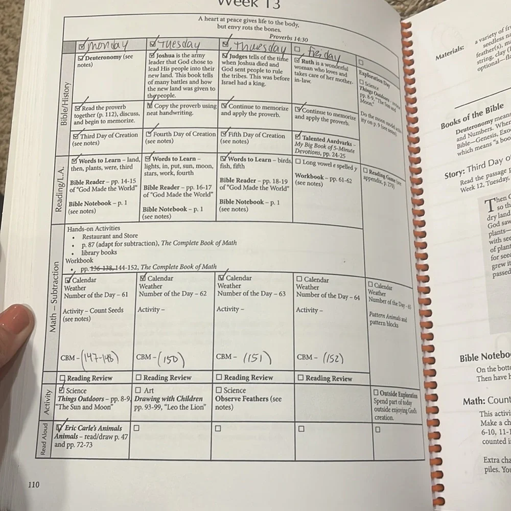 MY FATHER’S WORLD First Grade curriculum 📚 - Picture 8 of 13